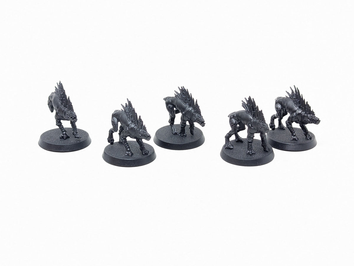 Kroot Hounds