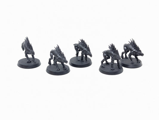 Kroot Hounds