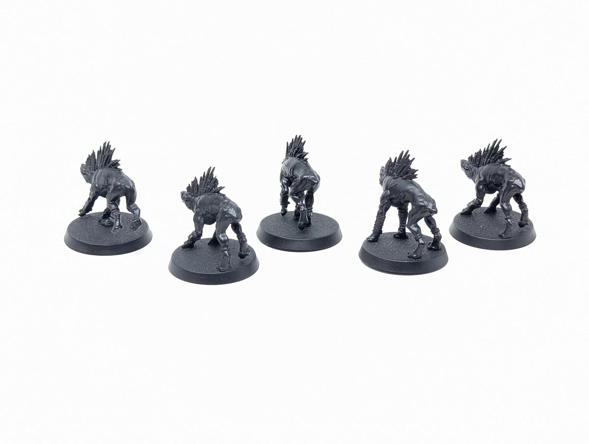 Kroot Hounds