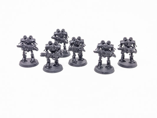 Thallax Cohort