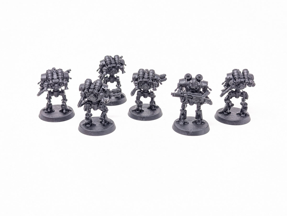 Thallax Cohort