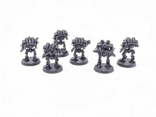 Thallax Cohort