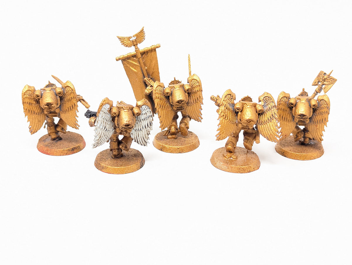 Sanguinary Guard (Old Models)
