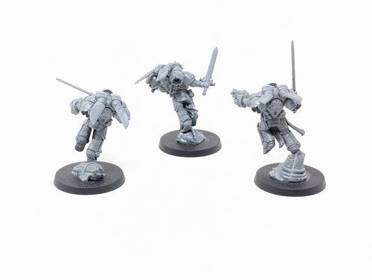 Sanguinary Guard