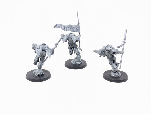 Sanguinary Guard