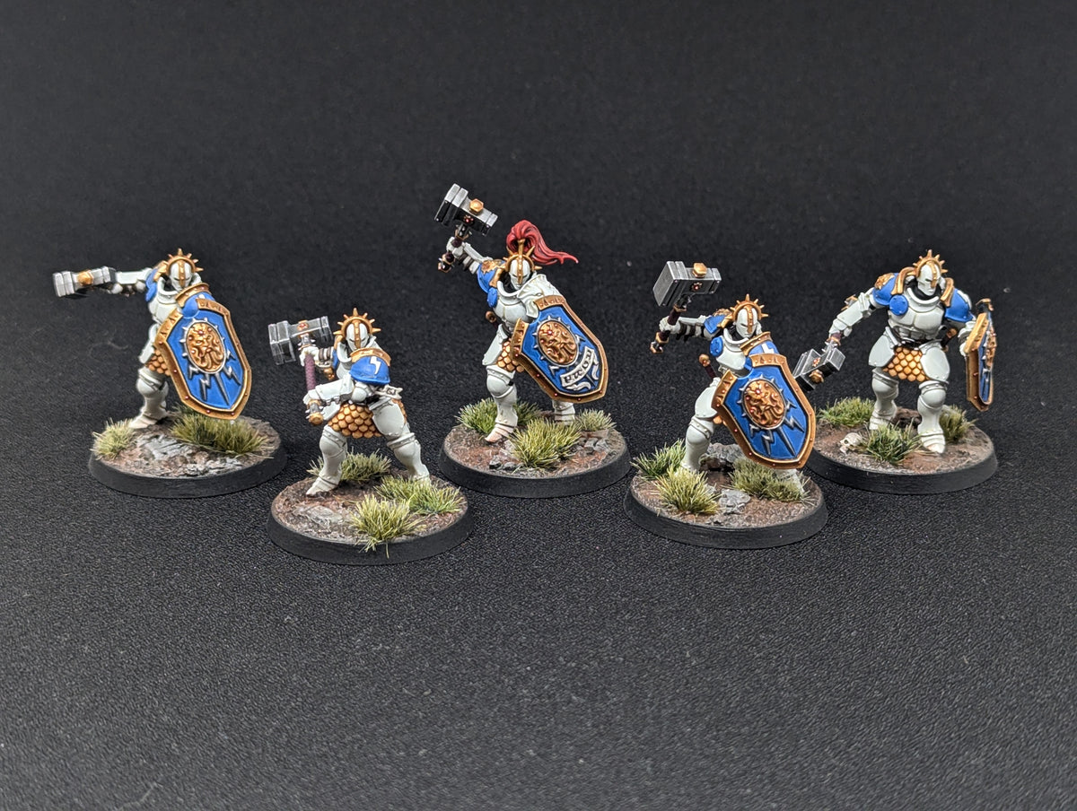 Liberators (Well Painted)