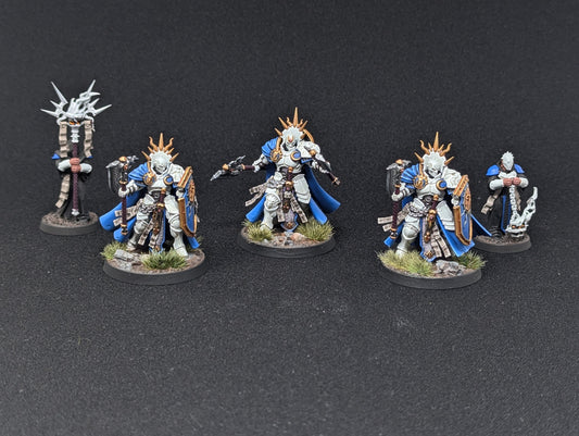 Reclusians (Well Painted)