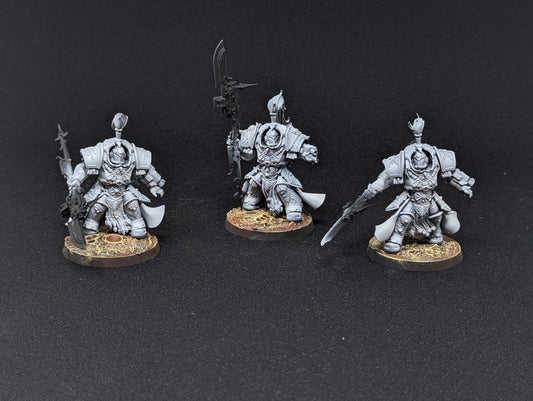 Allarus Custodians