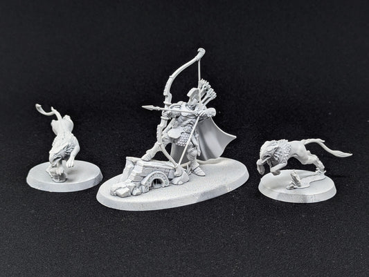 Knight-Judicator with Gryph-hounds