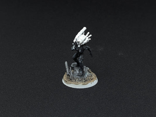 Culexus Assassin
