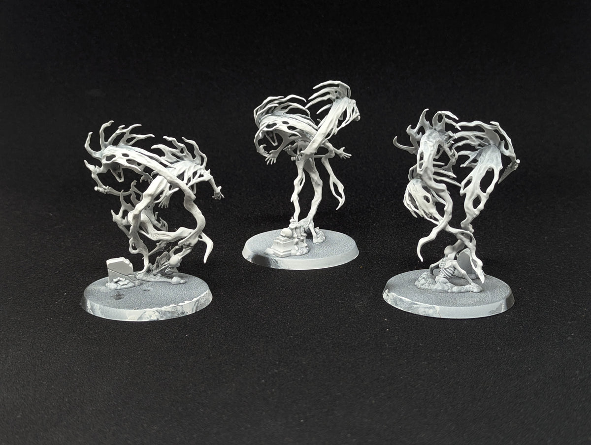 Spirit Hosts