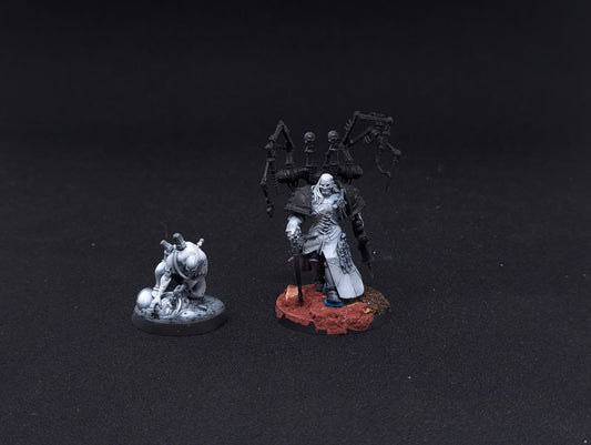 Fabius Bile