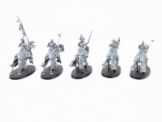 Barrow Knights (Old Models)