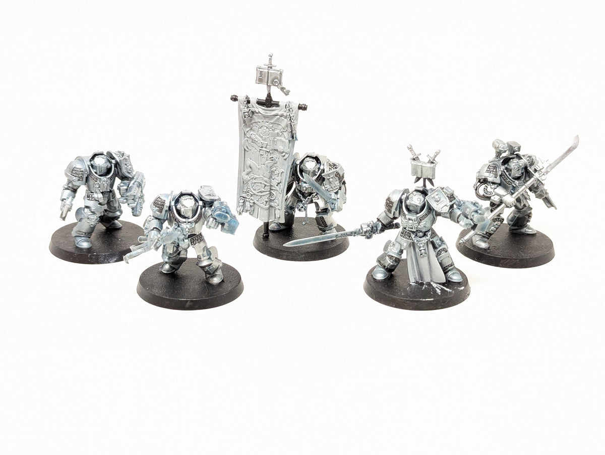 Grey Knight Paladins