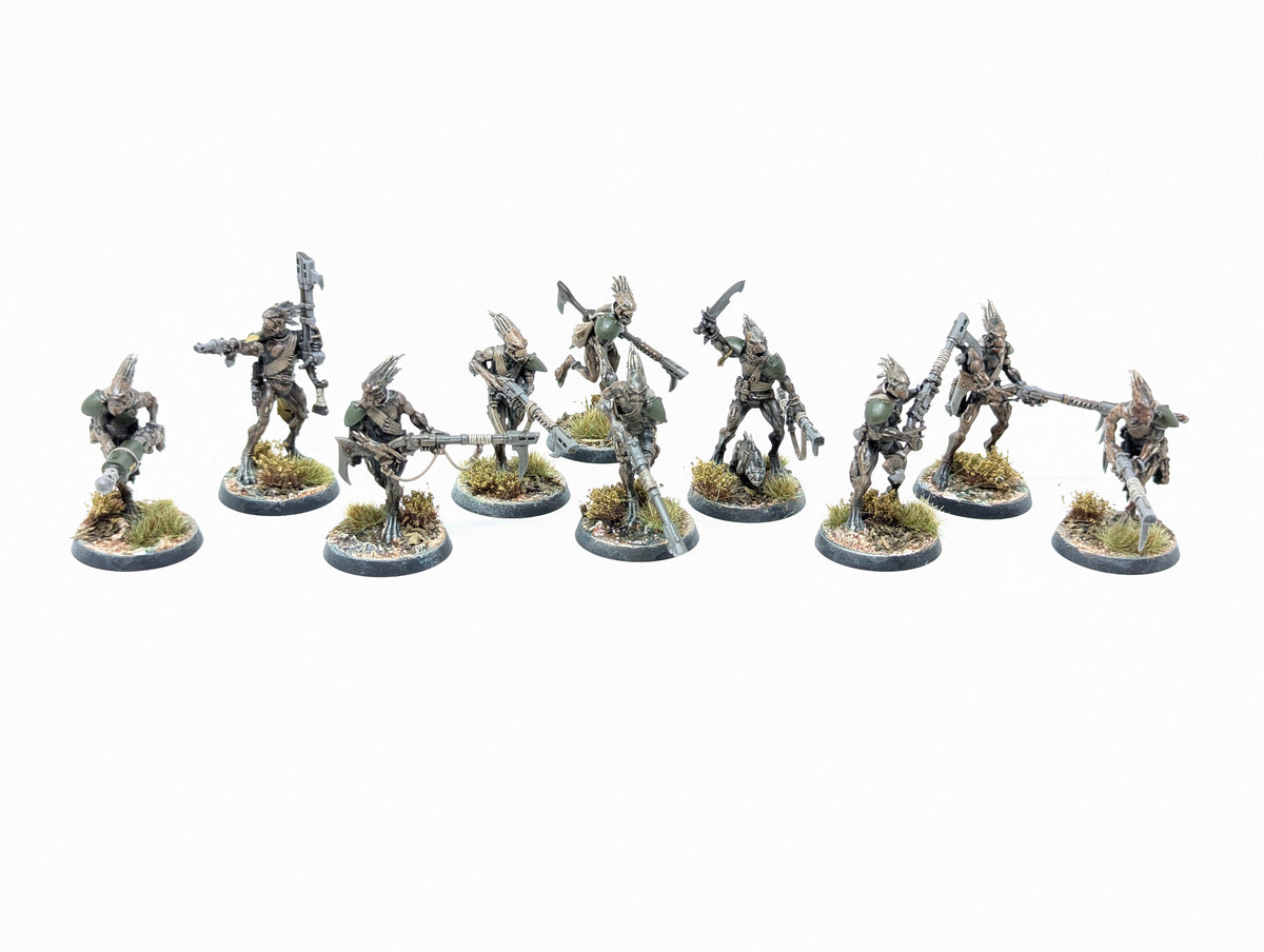 Kroot Carnivores (Tabletop)