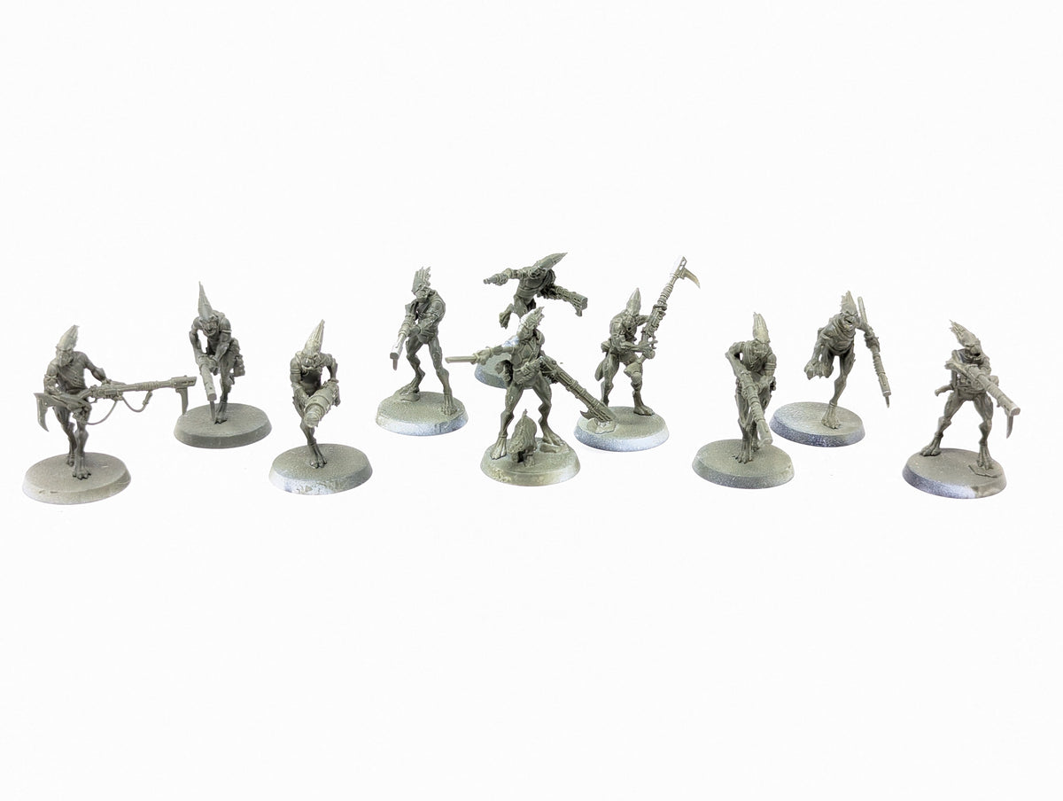 Kroot Carnivores