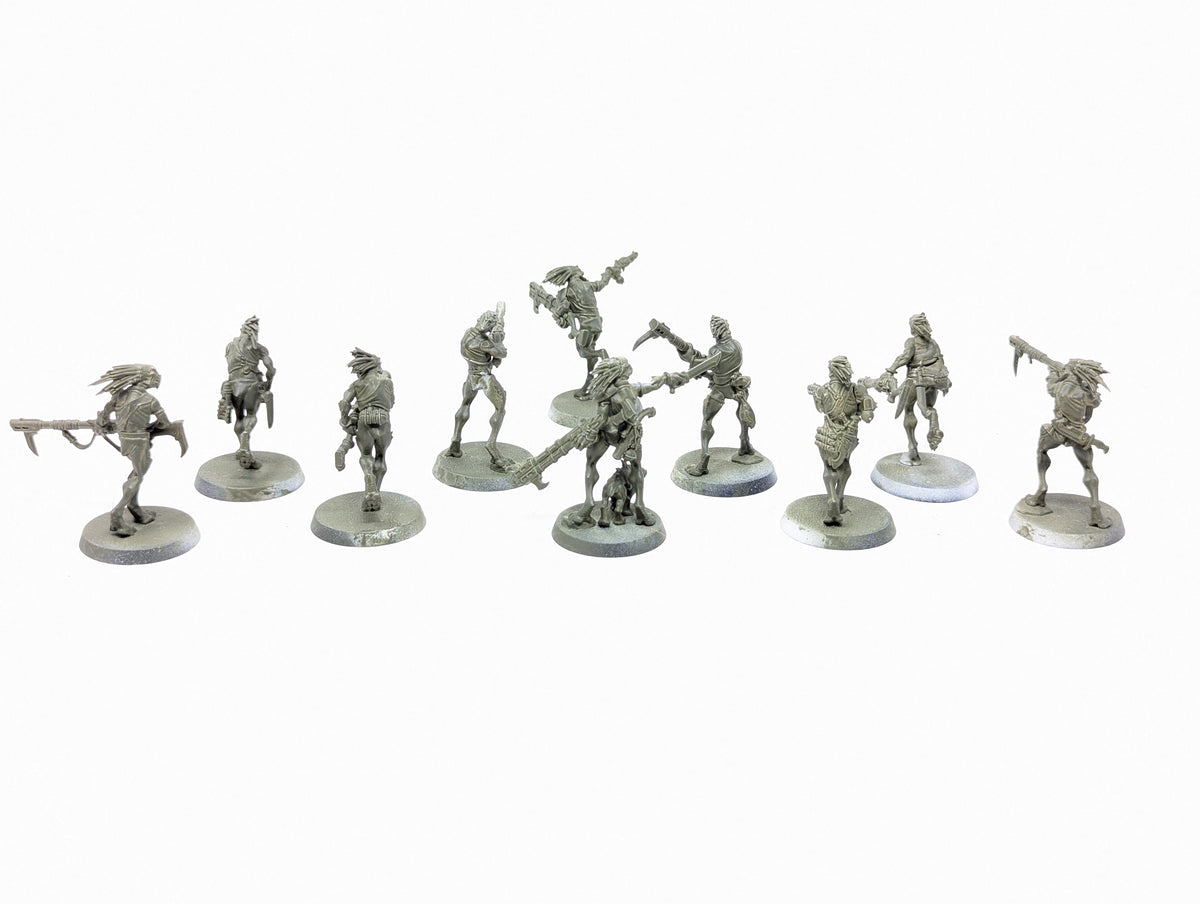 Kroot Carnivores