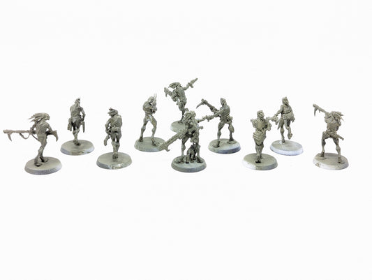 Kroot Carnivores