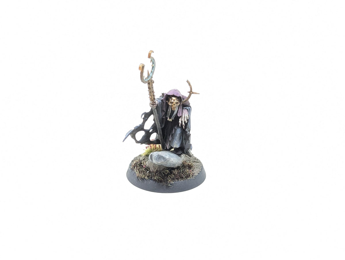 Necromancer (Conversion/Well Painted)