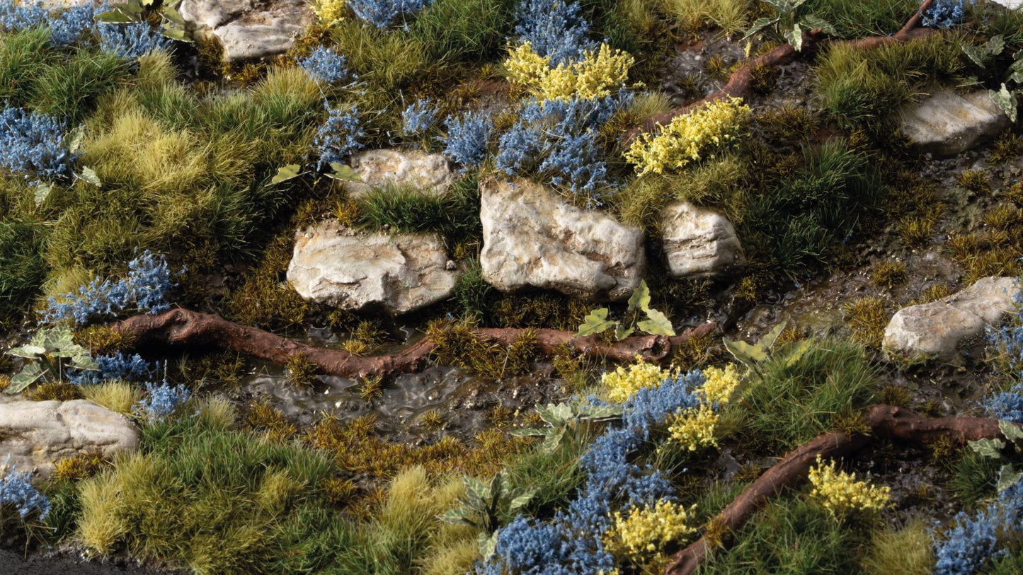 Gamers Grass: Bluebeard Flowers