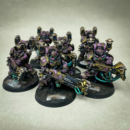 Emperor's Children Collection