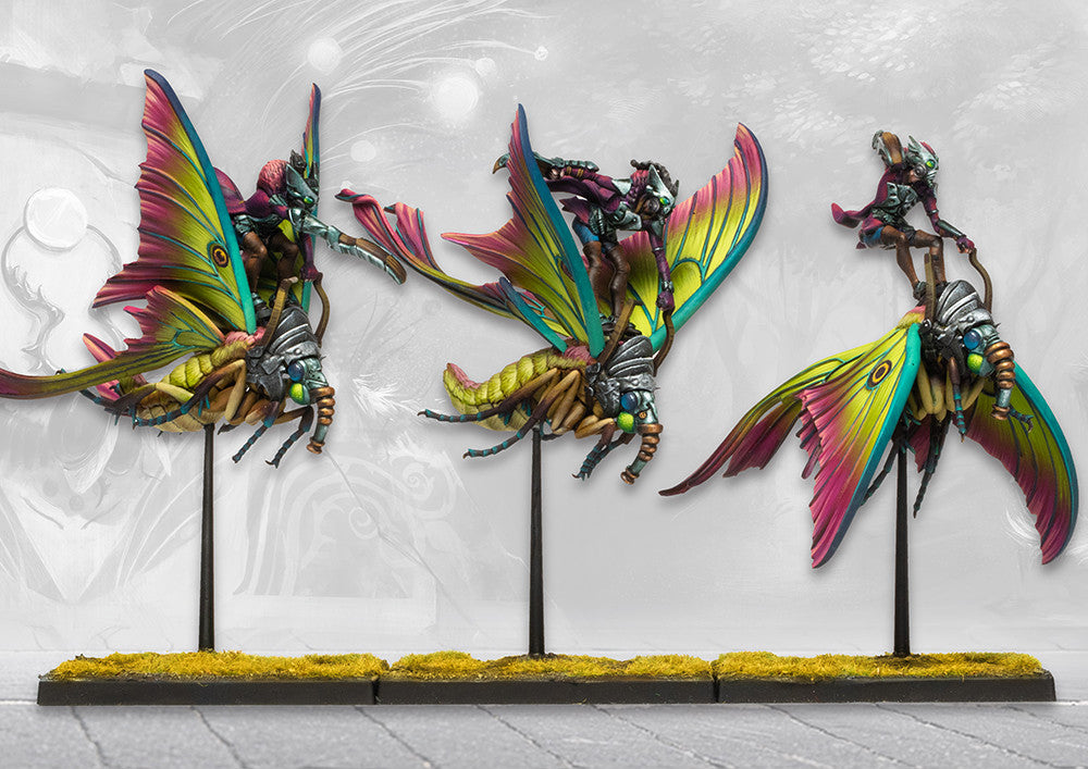 Weaver Courts: Ciannir/Sciathan Riders