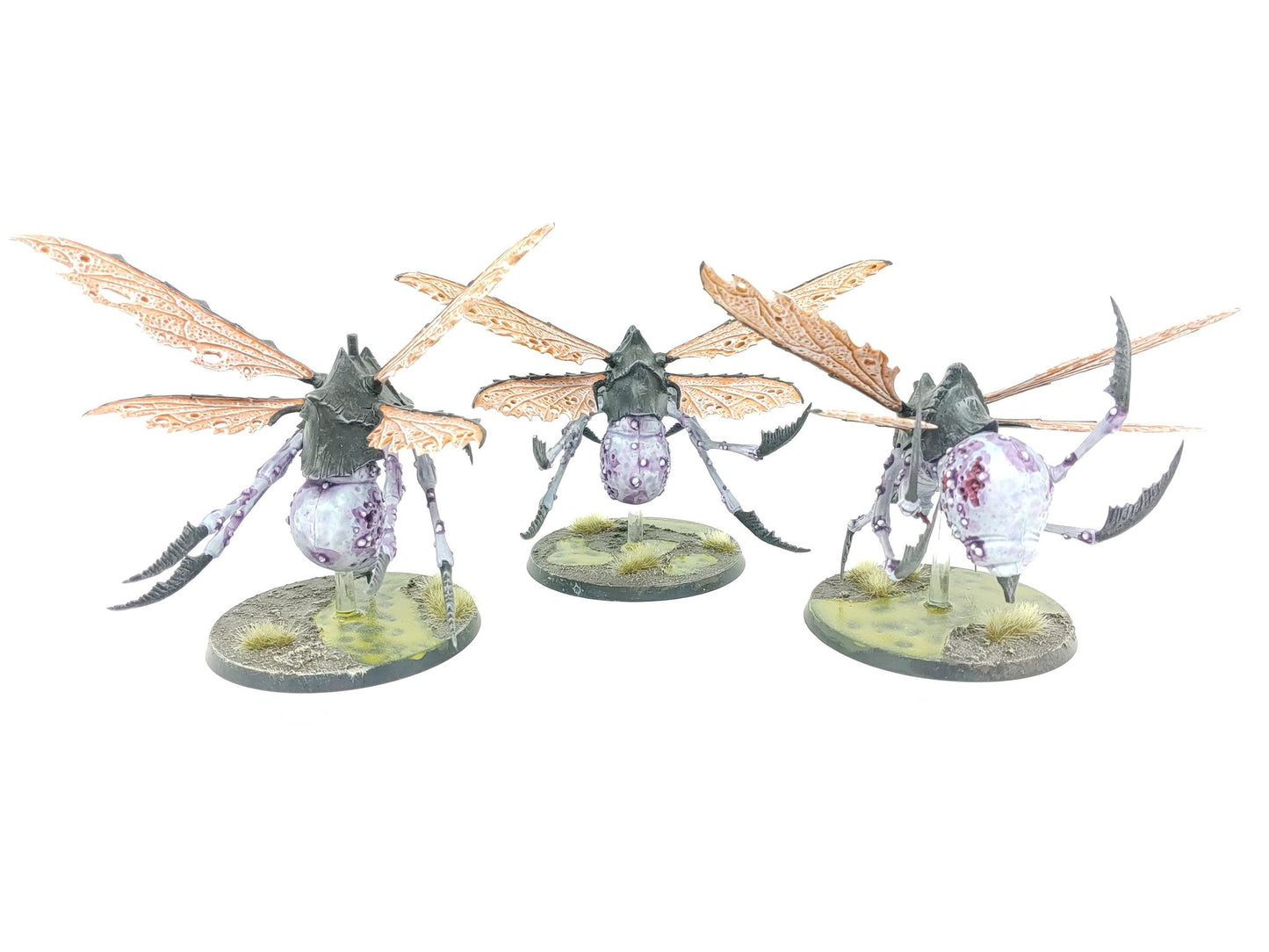 Plague Drones of Nurgle (Well Painted)