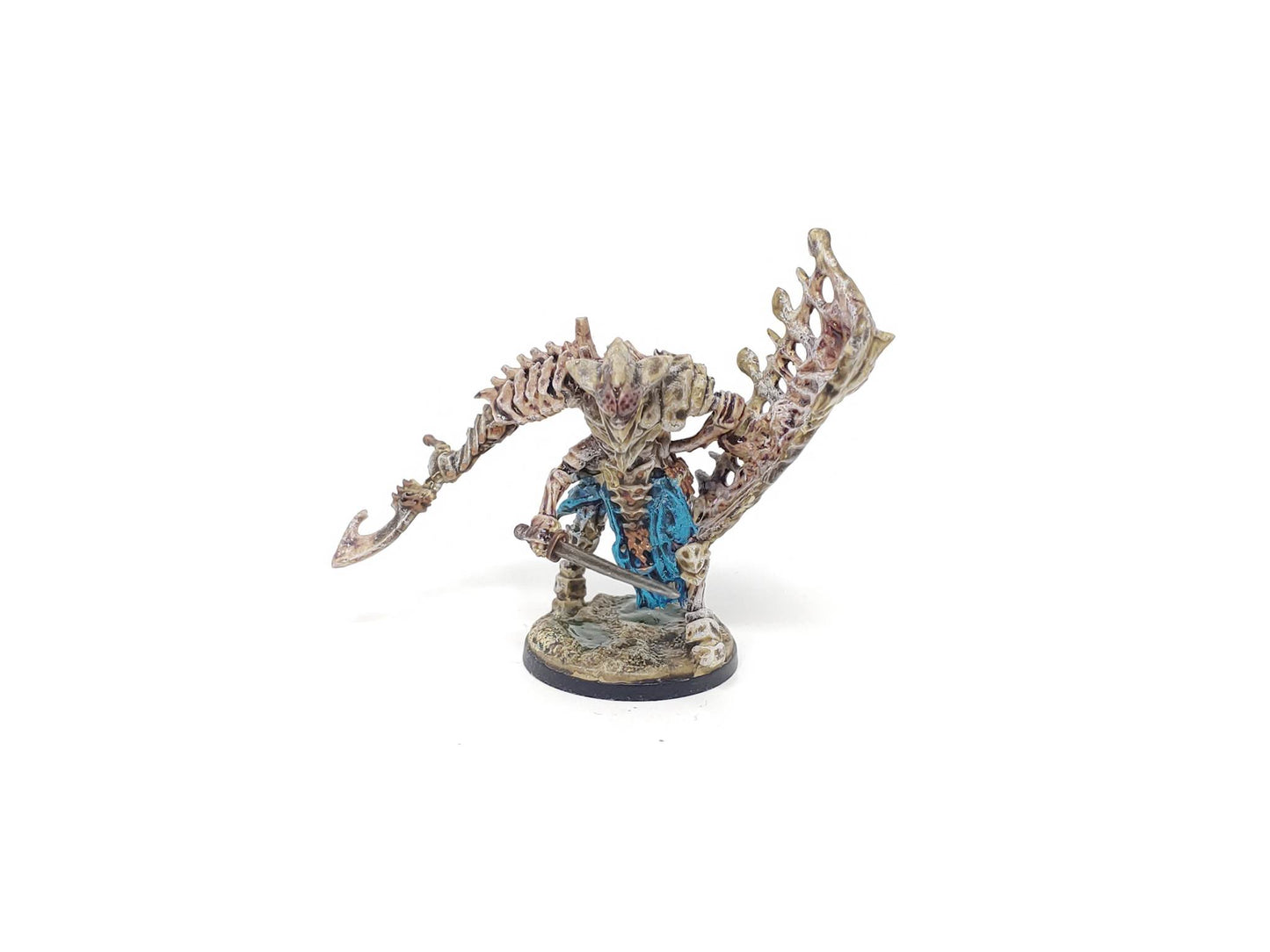 Ward Preceptor (Well Painted)