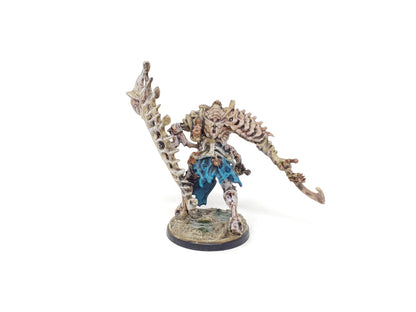 Conquest: Ward Preceptor (Well Painted)